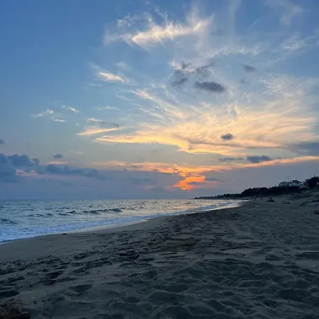 La Conchiglia Torre Ovo