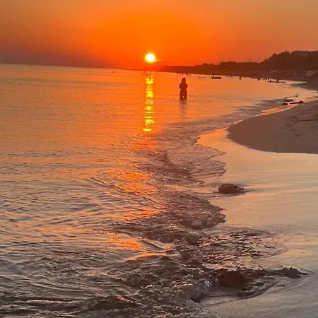 La Conchiglia Tatil Evi *